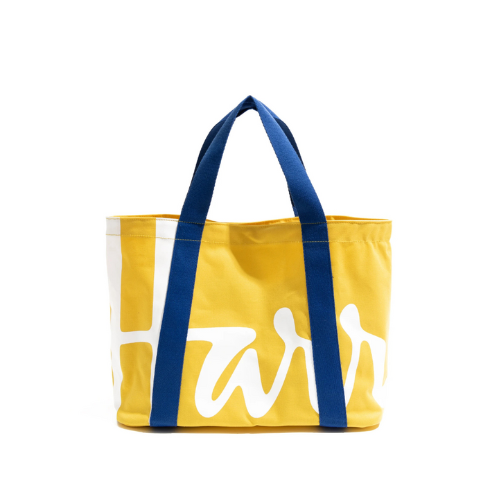 BOLSA-DE-PRAIA-DE-LONA-HARR-05